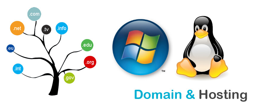 A Business Guide to Choosing a Web Hosting and Domain Service